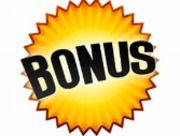 Bonus 100% up to 100€ plus 100 free spins at Playamo
